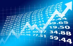 Borsa Çöküşleri ve Yatırımcı Davranışları Üzerine Analiz